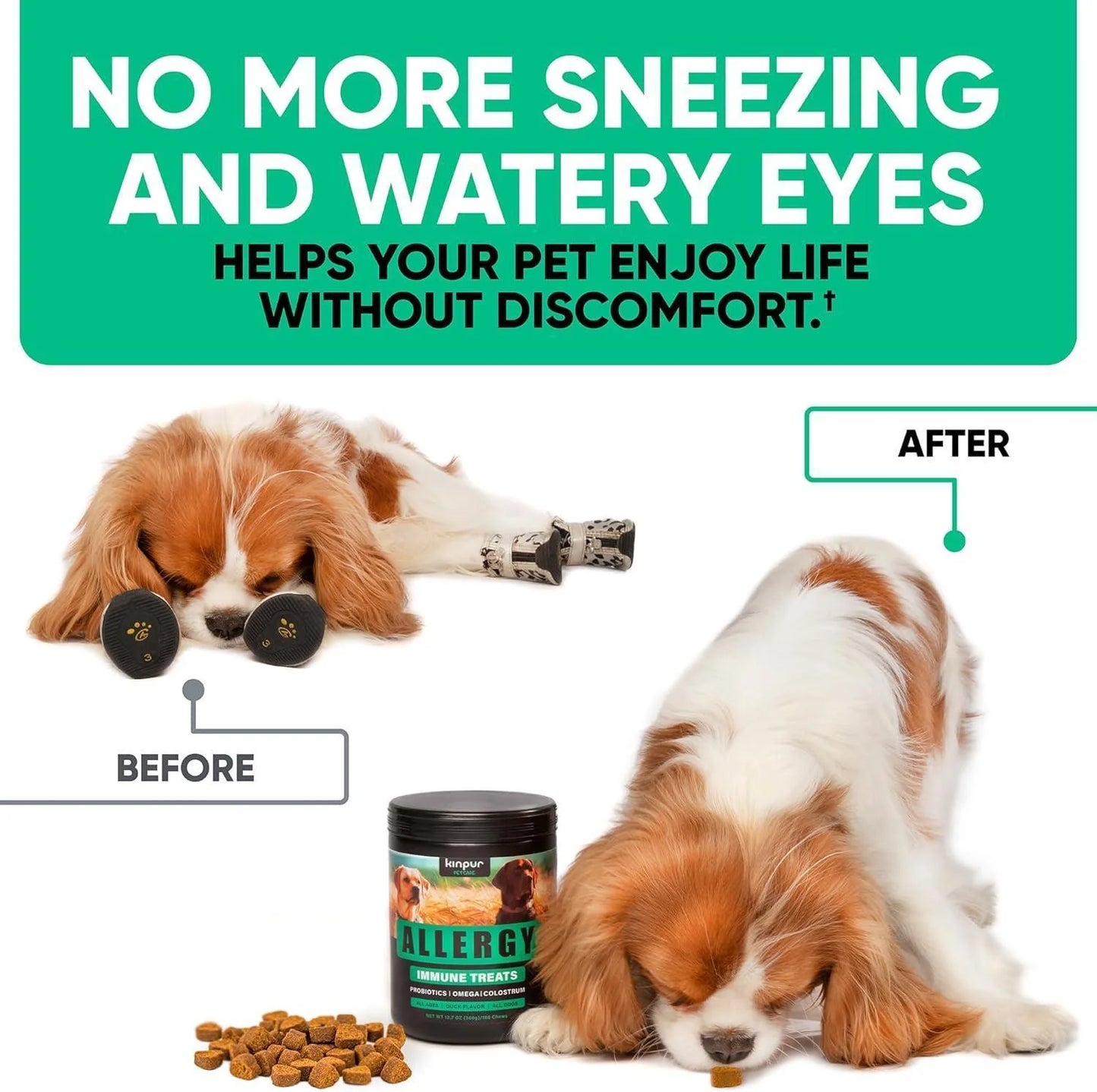 Natural Dog Allergy Chews for Dog Itch Tasty Allergy Relief Pet Supplement For