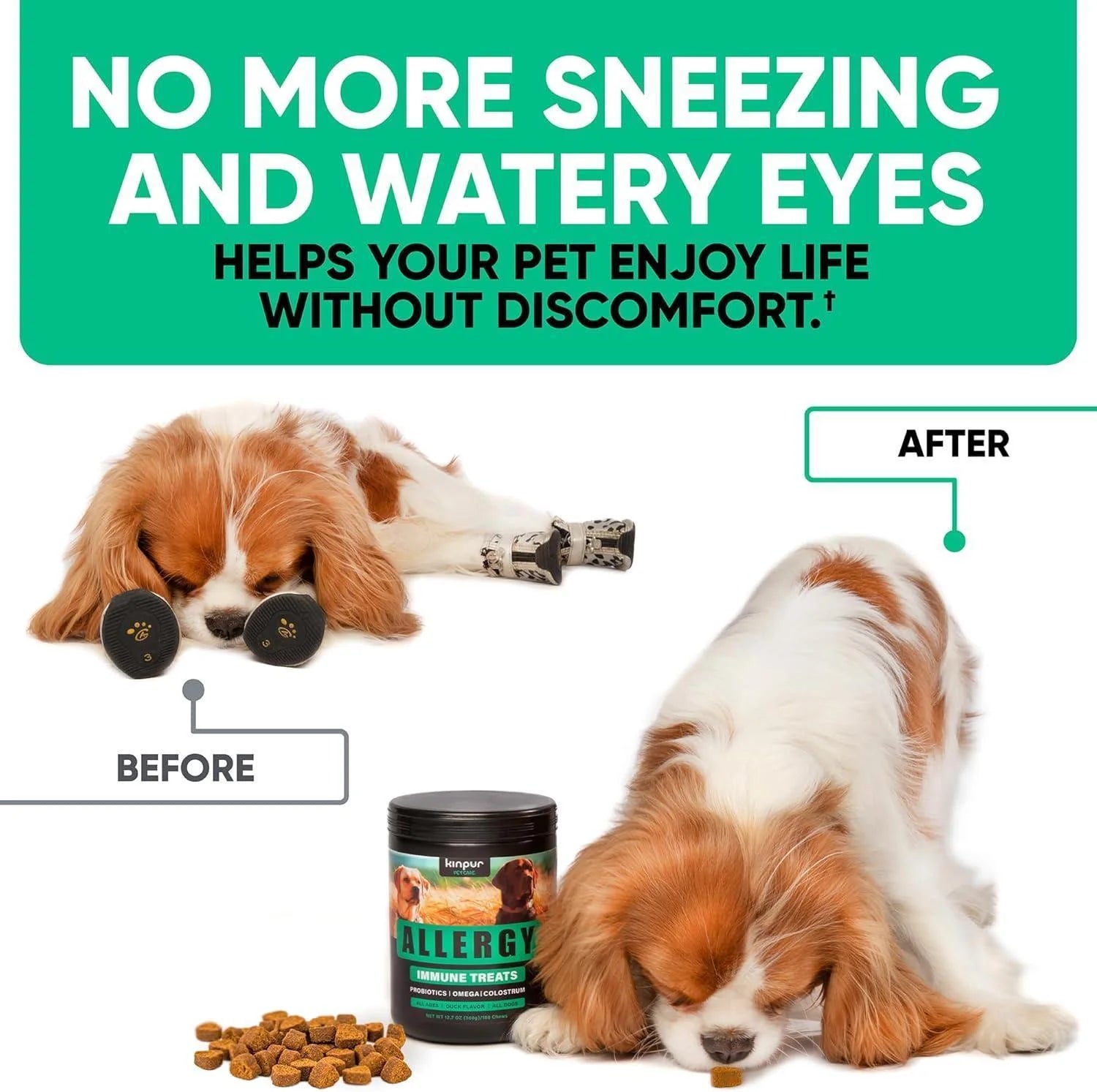 Natural Dog Allergy Chews for Dog Itch Tasty Allergy Relief Pet Supplement For